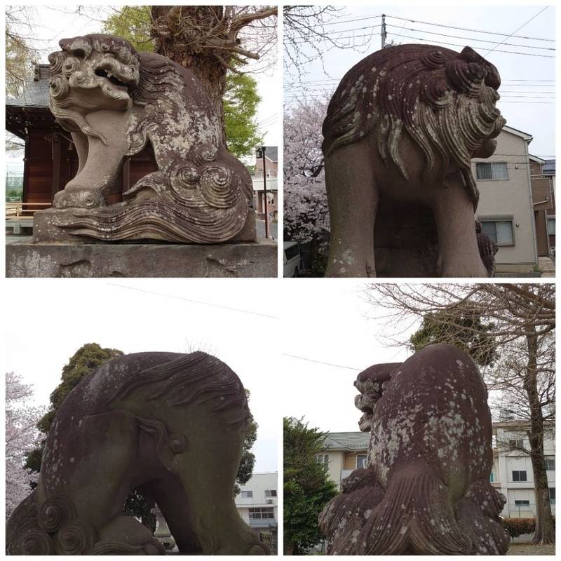 近津神社,埼玉県北葛飾郡杉戸町清地1-1-29