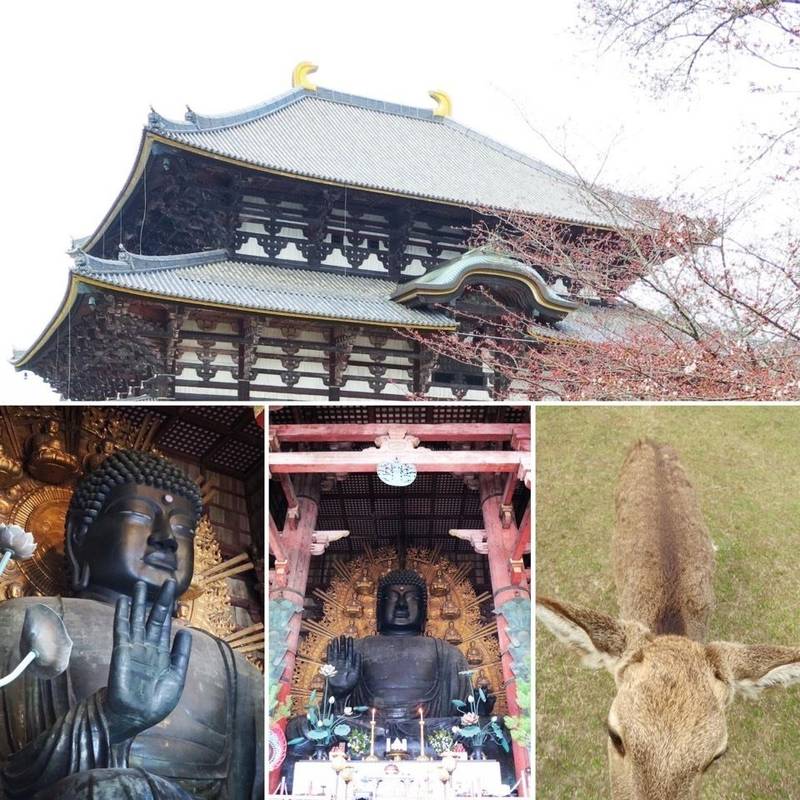 東大寺 御朱印帳 奈良市 奈良県 Omairi おまいり