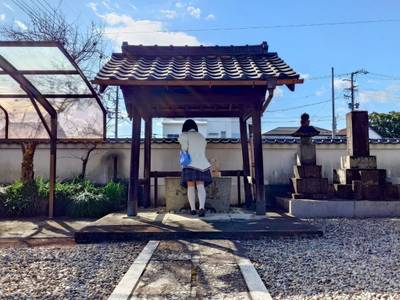 妙経寺,見どころ,平沢凛