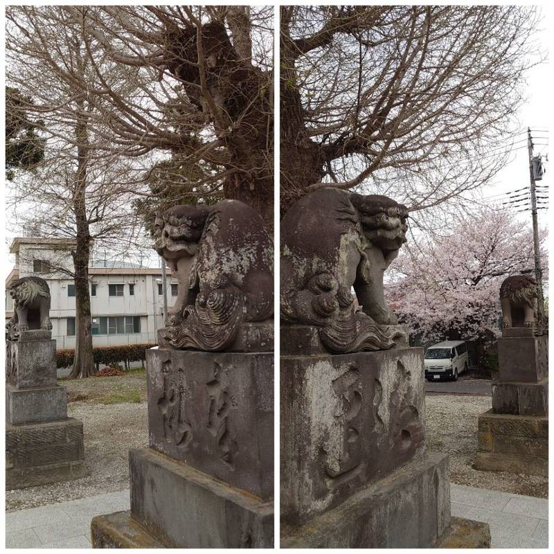 近津神社,埼玉県北葛飾郡杉戸町清地1-1-29