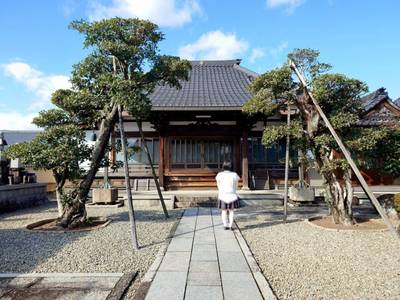 妙経寺,見どころ,平沢凛