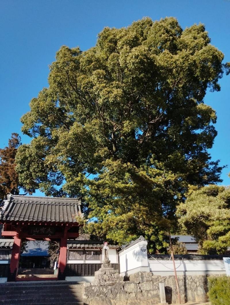 西明寺,愛知県豊川市八幡町寺前7