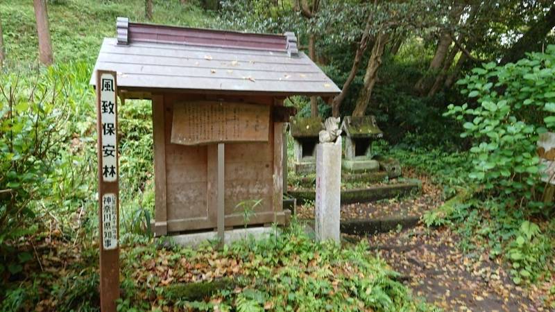 今泉白山神社,神奈川県鎌倉市今泉3ｰ13ｰ20