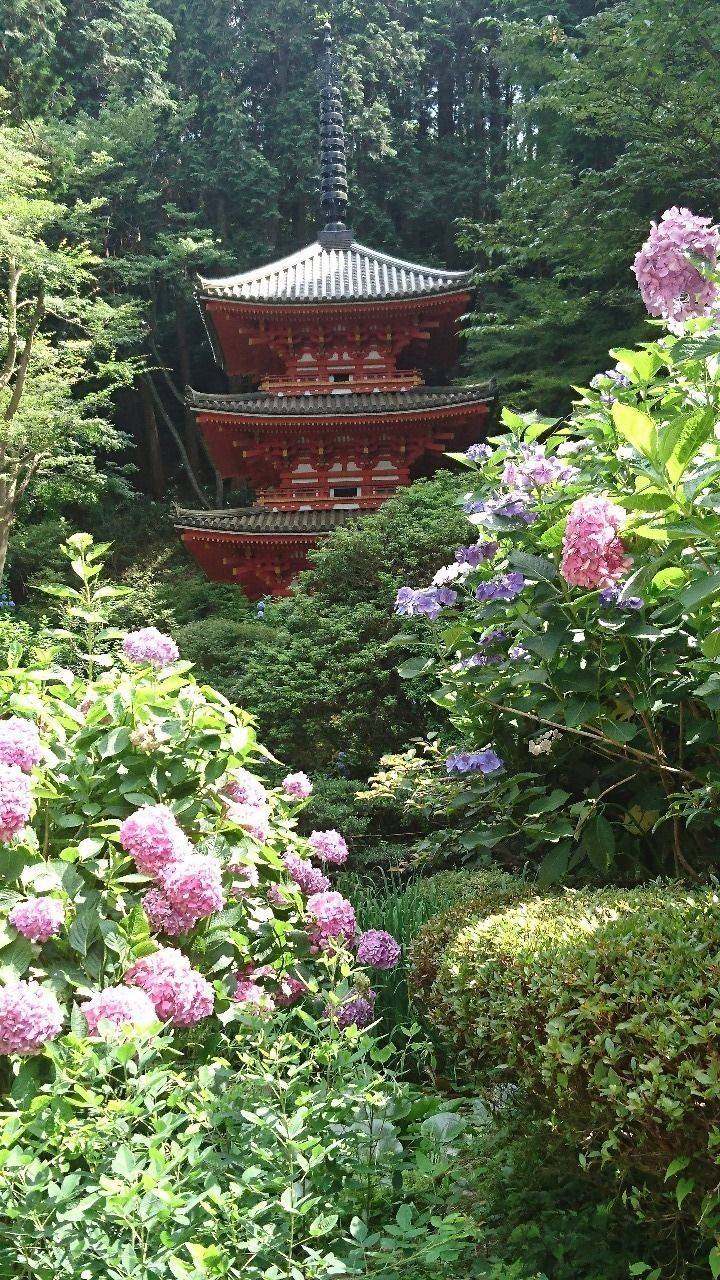岩船寺,京都府木津川市加茂町岩船上ノ門43