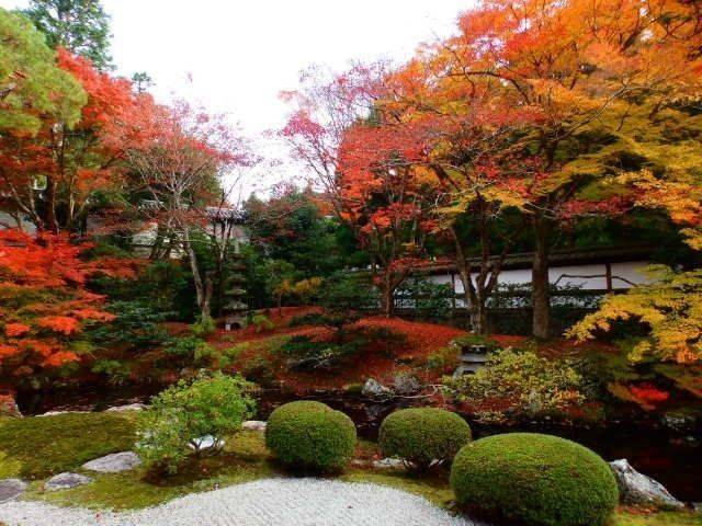 泉涌寺 御寺 御朱印 京都市 京都府 Omairi おまいり