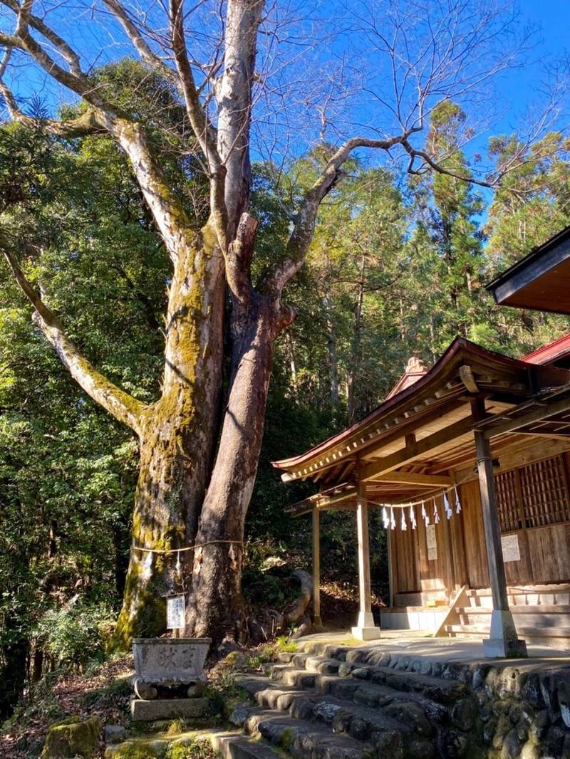 八幡大神社 (秩父市荒川贄川),埼玉県秩父市荒川贄川685番地