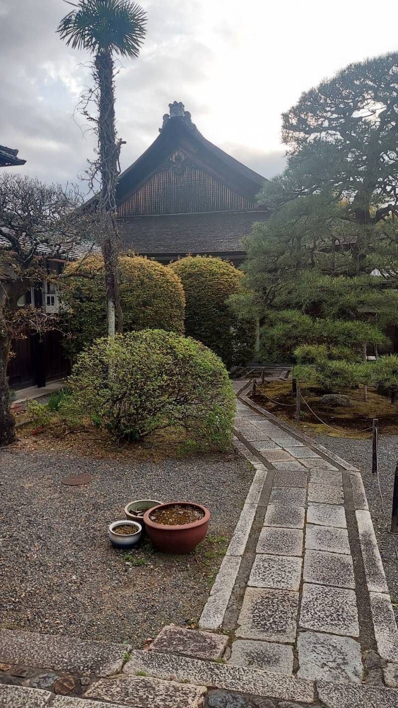 大心院  (妙心寺塔頭),京都府京都市右京区花園妙心寺町５７