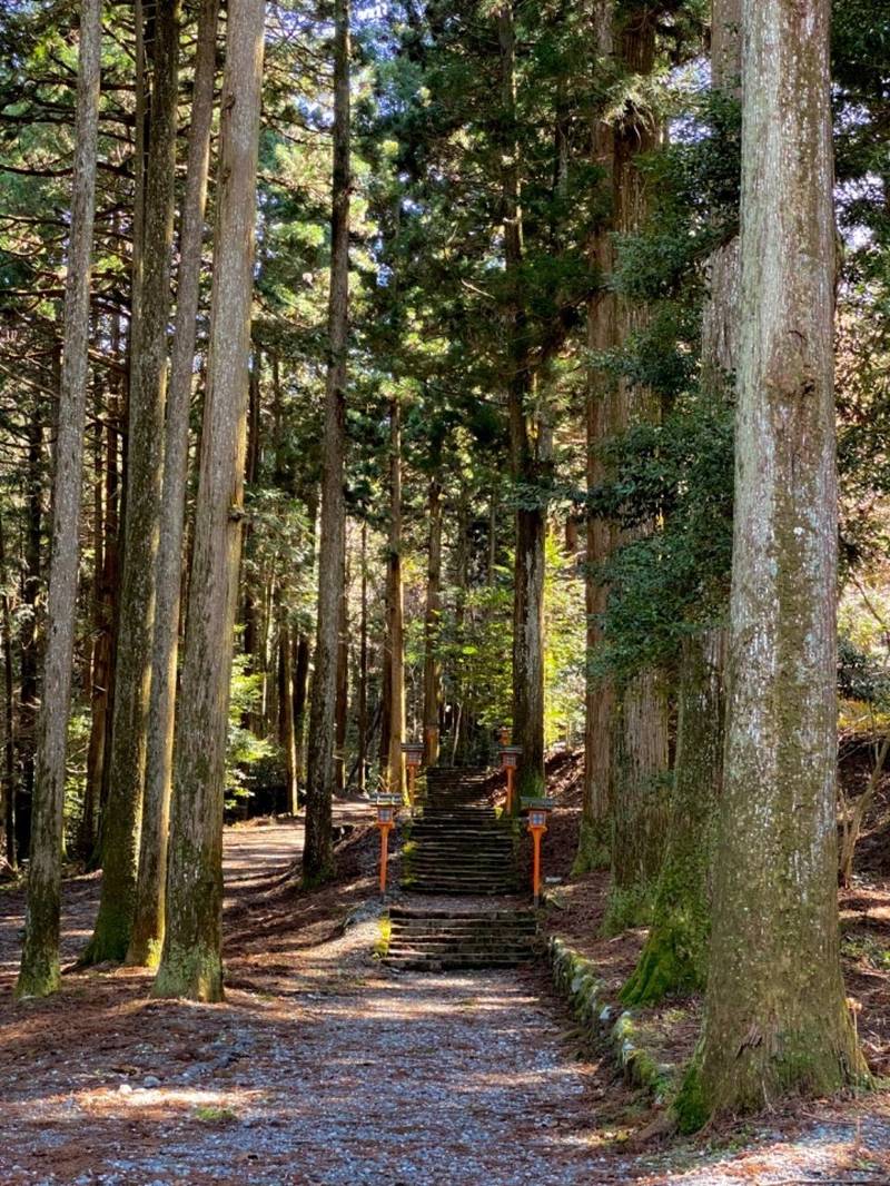 二岡神社,静岡県御殿場市東田中１９３９