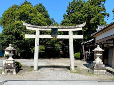 八幡神社  (川瀬馬場町),見どころ,を神