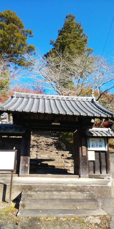 大凉寺,見どころ,ひのえ