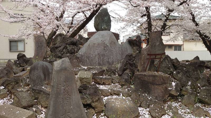 近津神社,埼玉県北葛飾郡杉戸町清地1-1-29