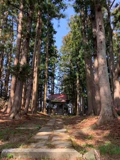 八幡神社  (李崎),見どころ,GT23