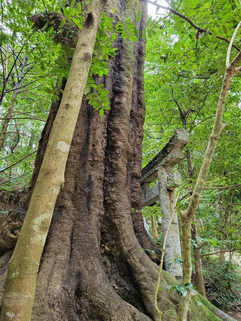 貴船神社,島根県雲南市加茂町南加茂578