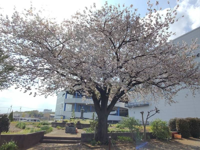 三本木の埋墓,埼玉県新座市大和田2丁目6-10