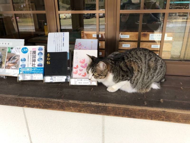 山梨縣護國神社 甲府市 山梨県 の見どころ 御朱印 By ただ Omairi おまいり