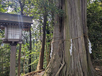 白山神社    (日の出町),東京都西多摩郡日の出町大久野2279