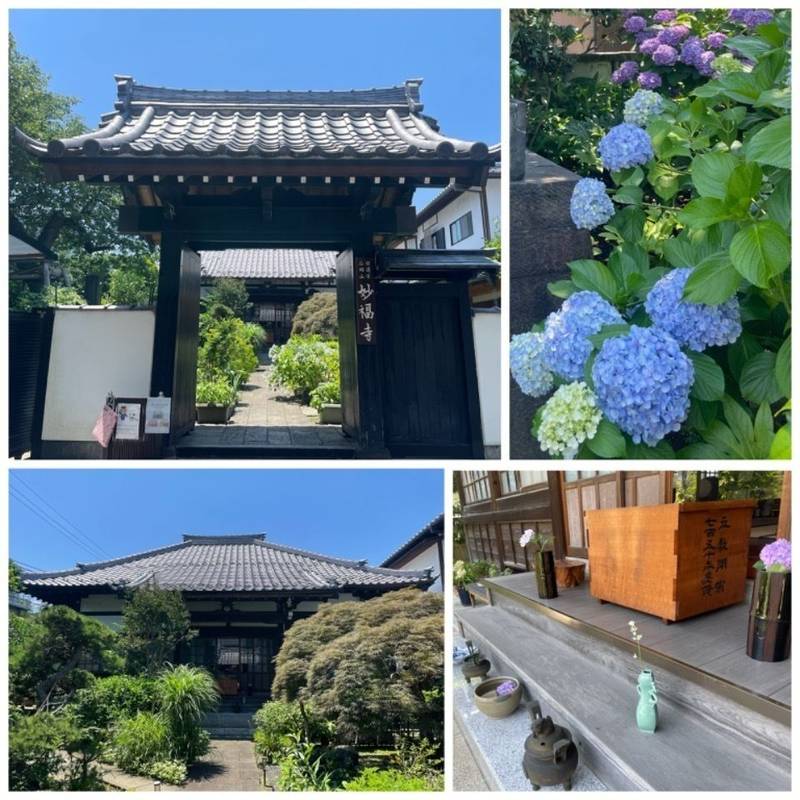 妙福寺    (台東区),東京都台東区谷中１丁目７−４１