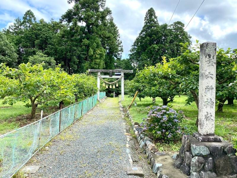 六所神社     (浜北区大平),静岡県浜松市浜北区大平813