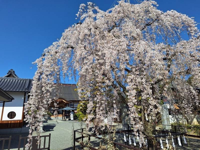 妙泉寺,山梨県中央市布施２１６３