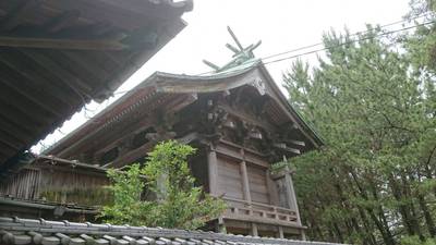 五色浜神社,見どころ,たあ坊