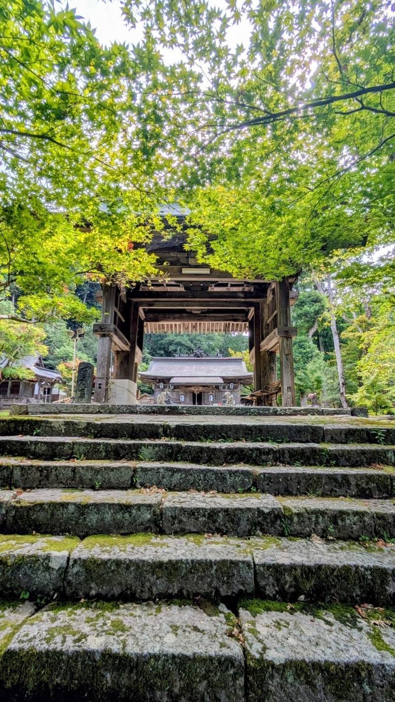 養父神社,兵庫県養父市養父市場840
