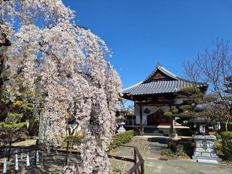 妙泉寺,山梨県中央市布施２１６３