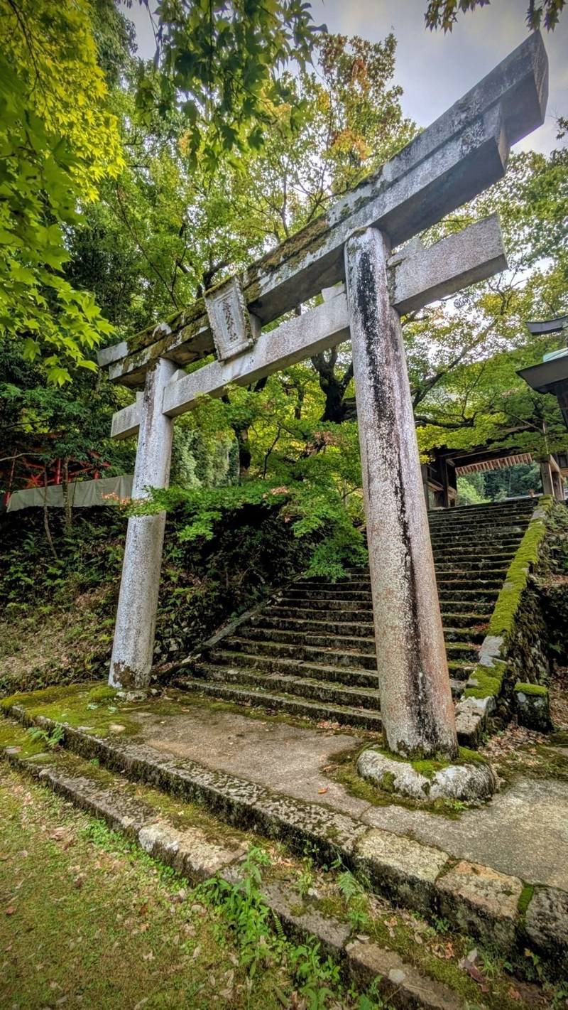 養父神社,兵庫県養父市養父市場840