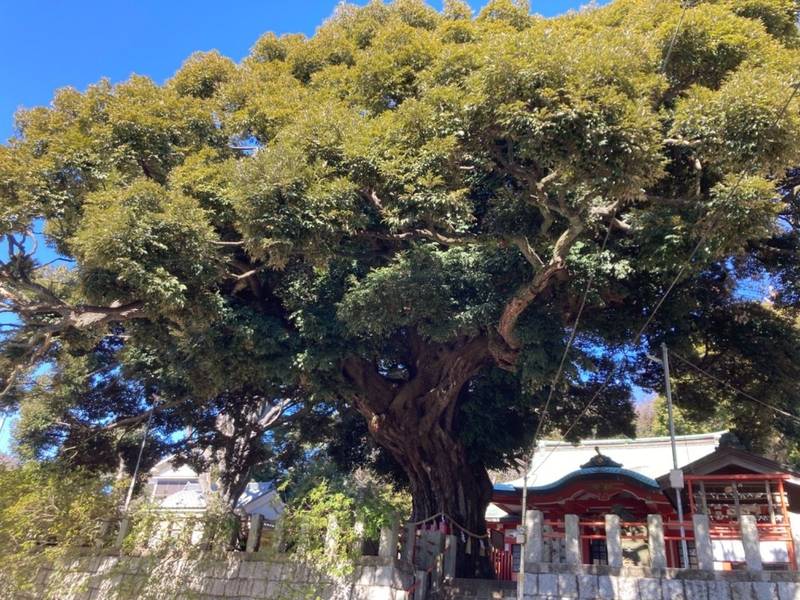 東峯八幡大神,神奈川県横浜市戸塚区吉田町1263