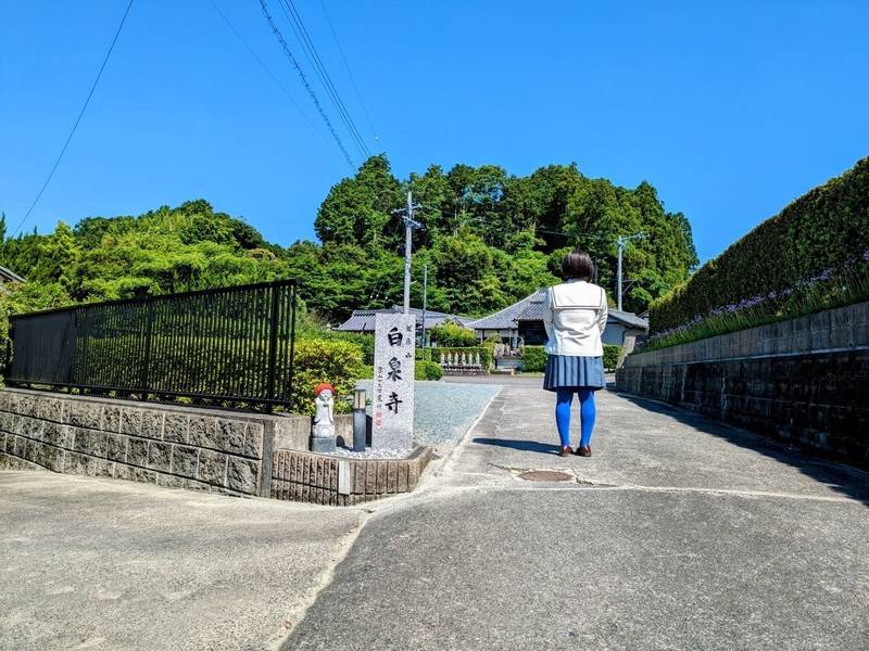 白泉寺,静岡県掛川市下垂木２０５２