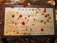 埼玉県の御朱印・神社・お寺 人気ランキング2025 (126位～150位)