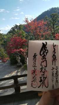 京都府の御朱印・神社・お寺 人気ランキング2025 (151位～175位)