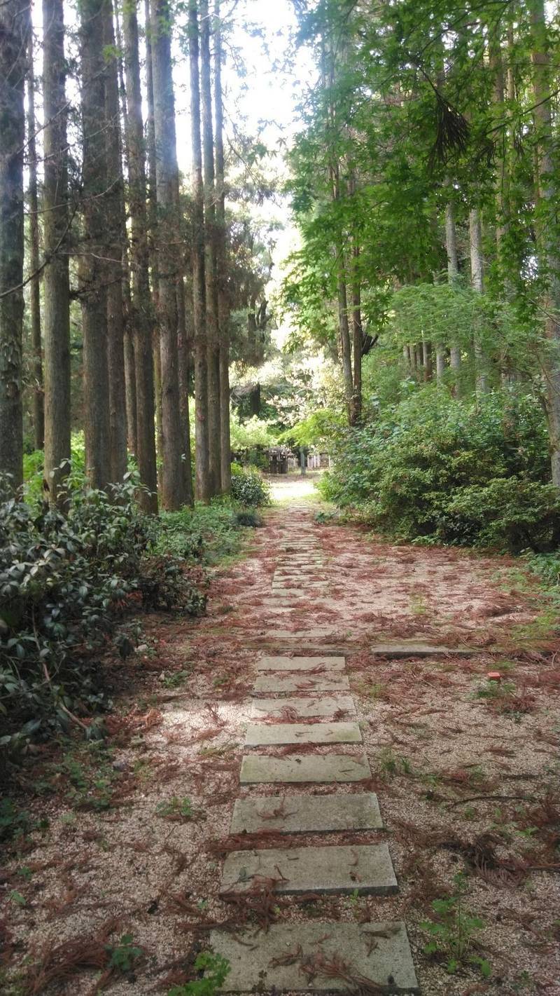 真龍寺,佐賀県神埼市神埼町志波屋
