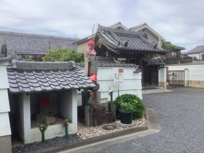 瑞林寺,見どころ,桜の花見より御朱印好き