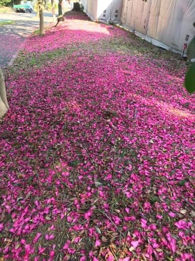 赤松稲荷大明神跡   (下作延稲荷塚古墳),周辺情報,