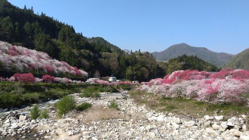 信濃比叡廣拯院,長野県下伊那郡阿智村智里3592-4