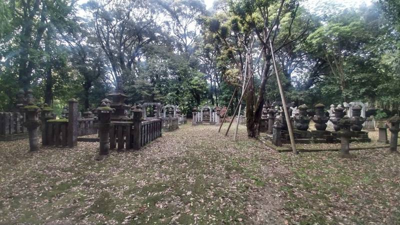 真龍寺,佐賀県神埼市神埼町志波屋