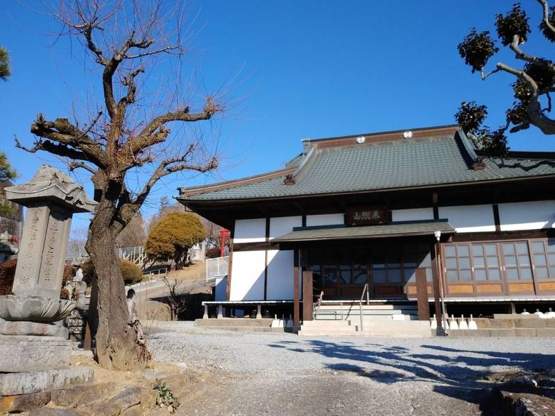 教林寺,山梨県韮崎市大草町上條東割213