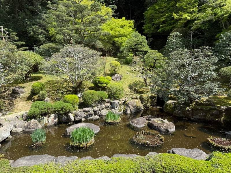 恵日寺,佐賀県唐津市鏡1693