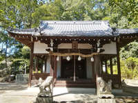 愛媛県の御朱印・神社・お寺 人気ランキング2025 (276位～300位)