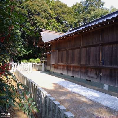生目八幡神社,見どころ,あまてらす王海守