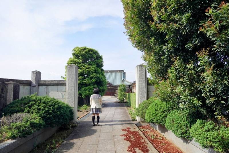 徳星寺,茨城県古河市横山町3-3-58