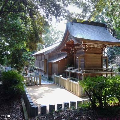 生目八幡神社,見どころ,あまてらす王海守