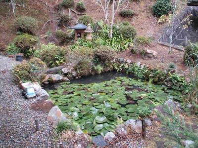 妙楽寺,見どころ,とっちー