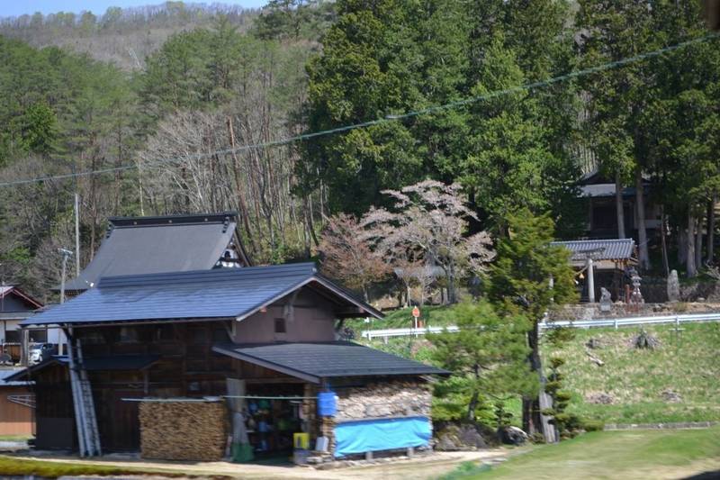 白山神社  (荘川町六厩),岐阜県高山市荘川町六厩字芝野529番地