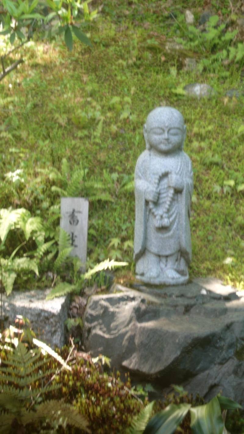 二尊院,京都府京都市右京区嵯峨二尊院門前長神町27