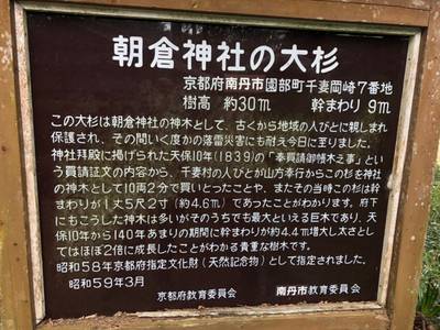 朝倉神社,見どころ,まろのすけ