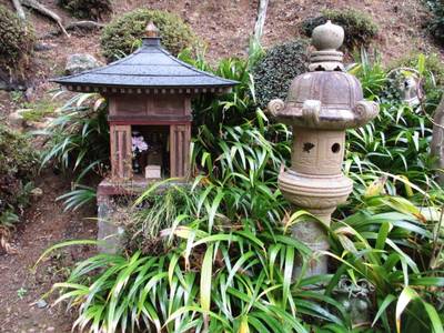 妙楽寺,見どころ,とっちー