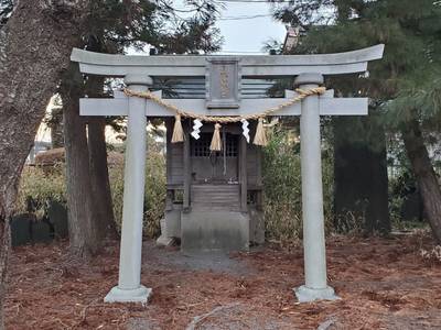 高玉神社,見どころ,おさしん