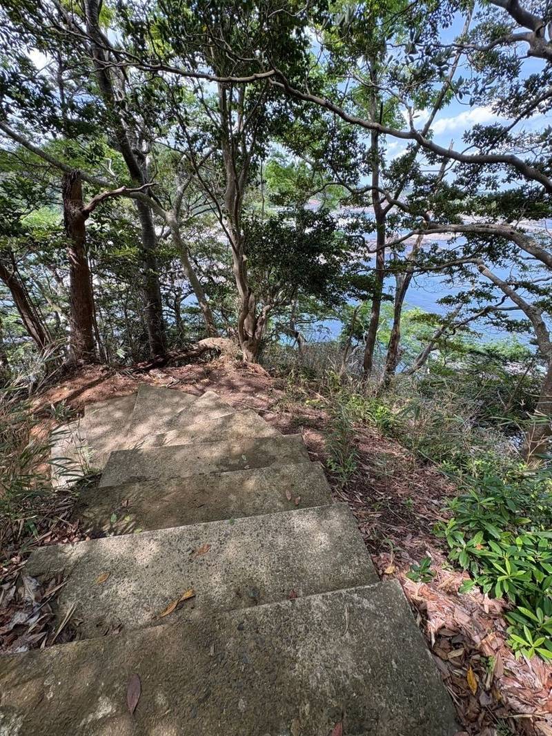 荒嶋神社,宮城県本吉郡南三陸町志津川字大森162