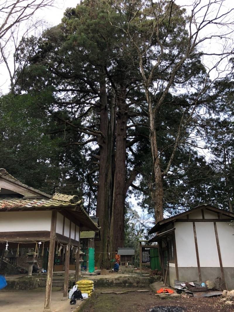 朝倉神社,京都府南丹市園部町千妻岡崎7
